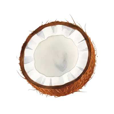 Imagen PNG para descargar